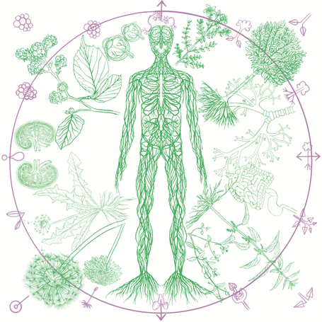 Image of the Field Notes of the Biota Beings. A green and purple print on a white background.