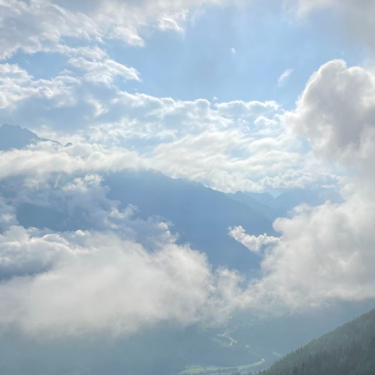 Artwork of ring made of rope around island of soil with oak sapling growing in middle.