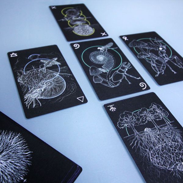 Spread of Cards from the Reality Coach Deck of Cards