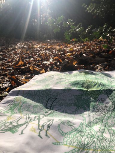 Image of Field Notes cloth on the forest floor on a November day